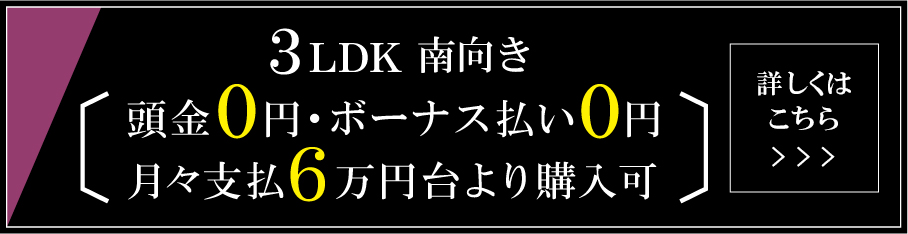 3LDK 南向き 頭金０円・ボーナス払い０円・月々支払６万円より購入可
