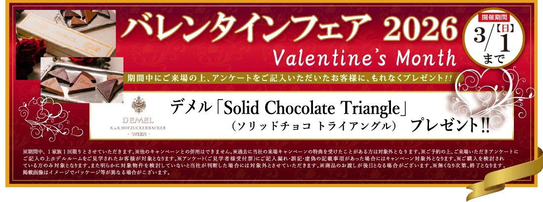 バレンタインフェア 2026 | 【開催期間】3/1(日)まで | Valentine's Month | 期間中にご来場の上、アンケートをご記入いただいたお客様に、もれなくプレゼント！！ | デメル「Solid Chocolate Triangle（ソリッドチョコ トライアングル）」プレゼント！