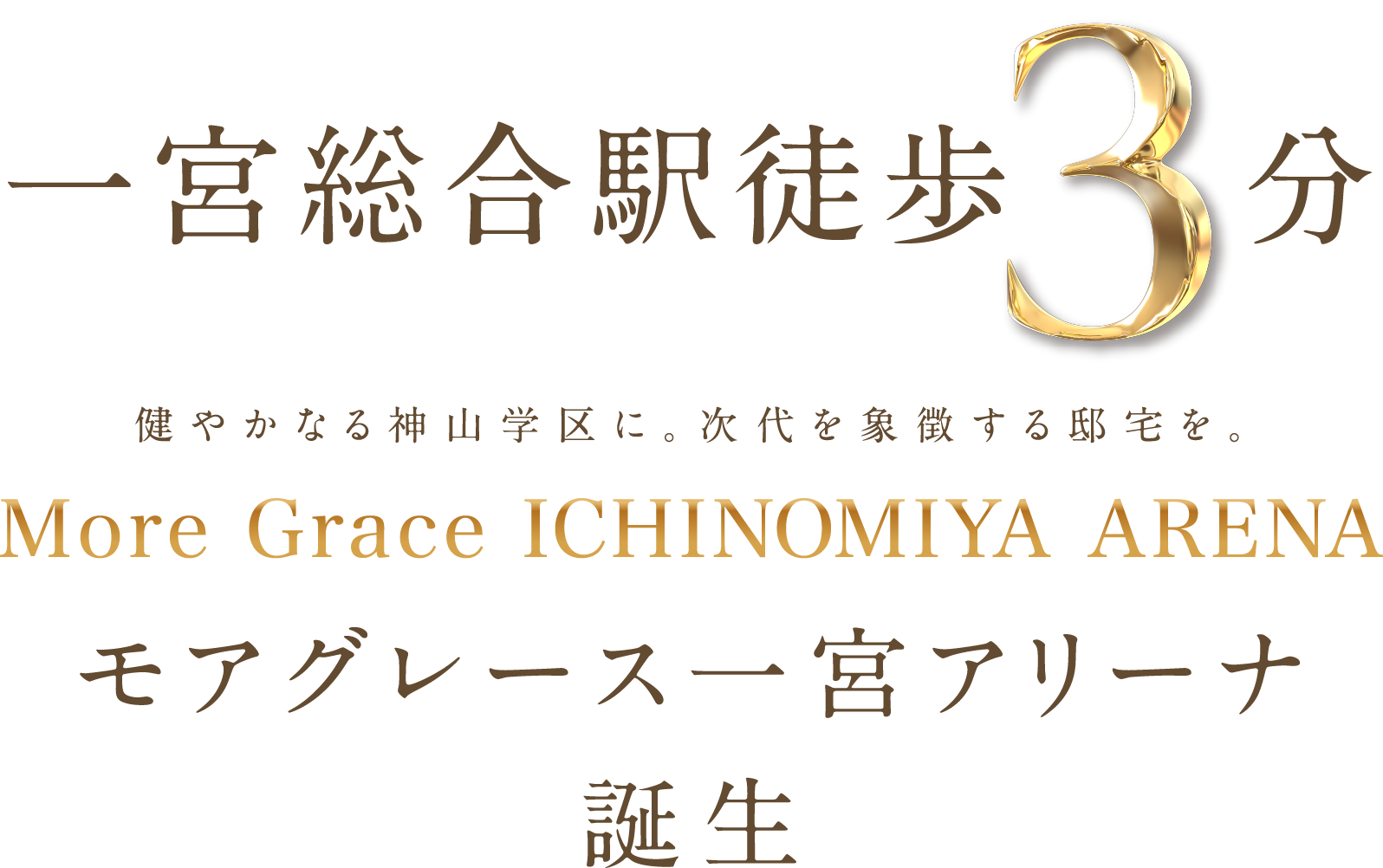 一宮総合駅徒歩3分 健やかなる神山学区に。次代を象徴する邸宅を。More Grace ICHINOMIYA ARENA モアグレース一宮アリーナ誕生