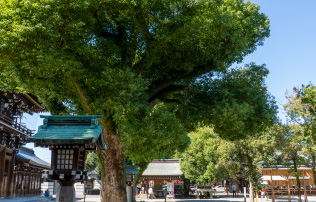 真清田神社