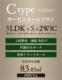 C type service