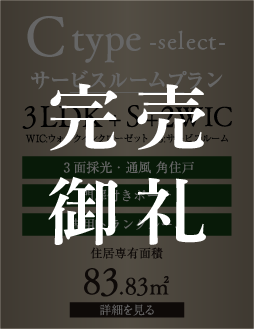 C type service