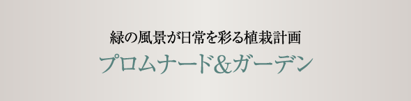 緑の風景が日常を彩る植栽計画 プロムナード＆ガーデン