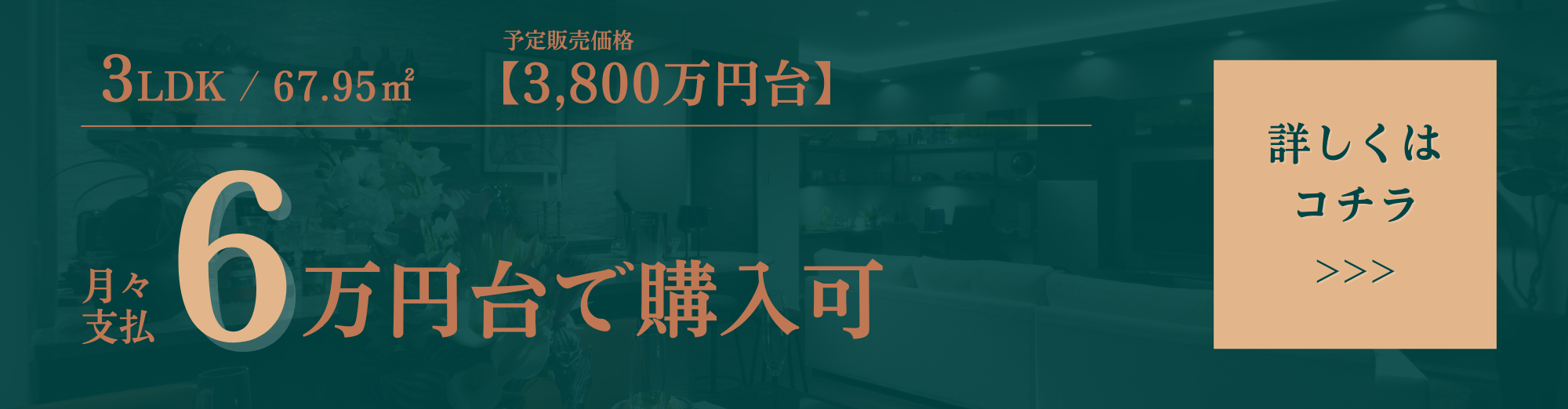 3LDK／65.95㎡/予定販売価格3,800万円台/月々支払6万円台で購入可\くわしくはコチラ
