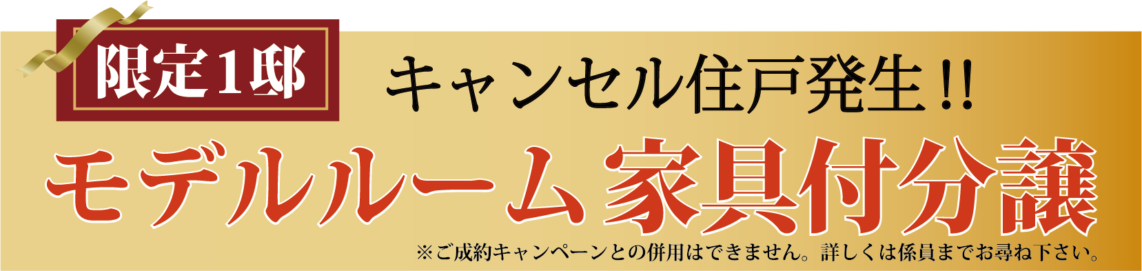 限定1邸キャンセル住戸発生!!モデルルーム家具付き分譲