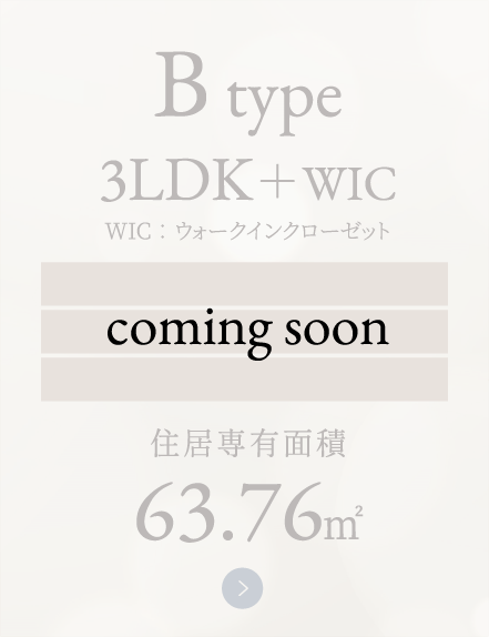 B type
