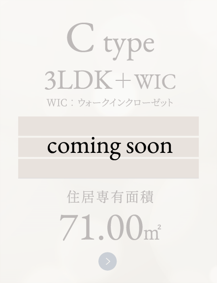 C type