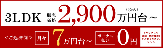 3LDK 販売価格2,900万円台～ ＜ご返済例＞ 月々7万円台～ / ボーナス払い0円