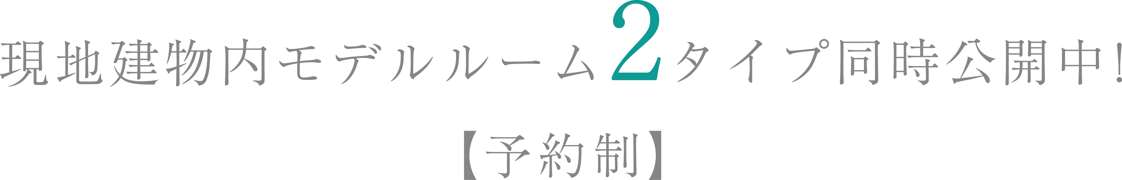 現地モデルルーム2タイプ同時公開中！